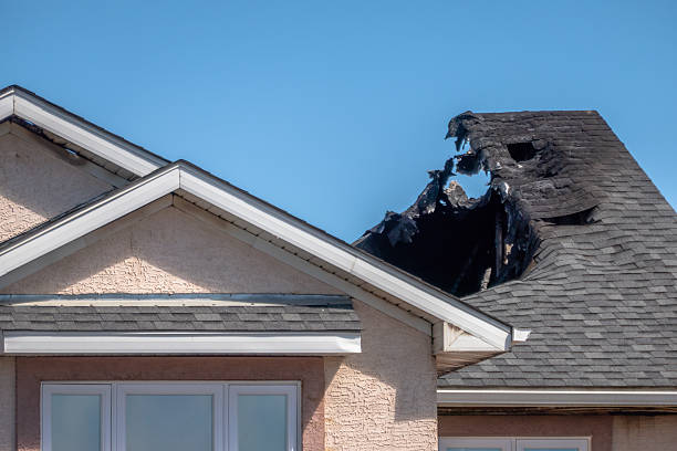 Top rated local Board Up Services specialists in Dayton, MN